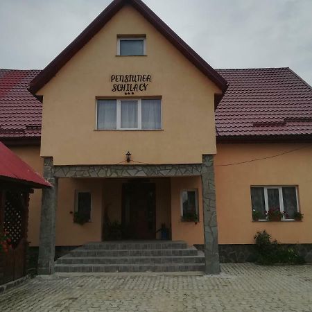 Pensiunea Schilacy Grosii Tiblesului Exterior photo