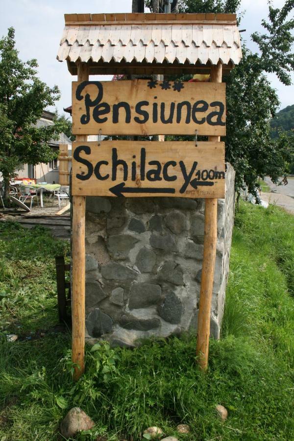 Pensiunea Schilacy Grosii Tiblesului Exterior photo